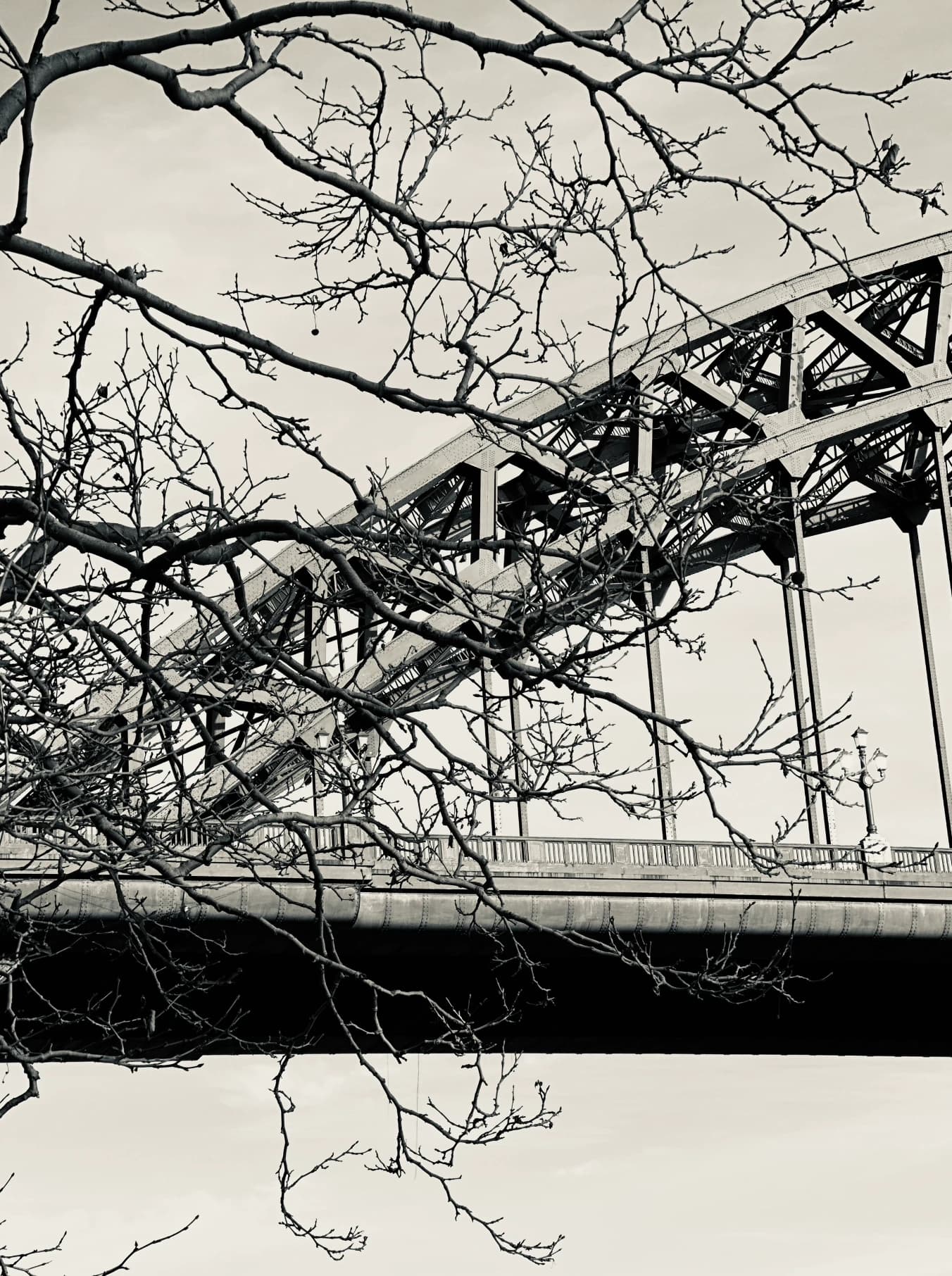 Bridge structure seen through bare branches in black and white.